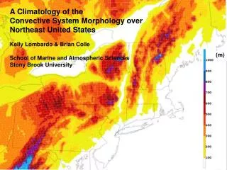 A Climatology of the Convective System Morphology over Northeast United States