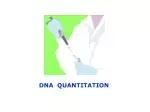 DNA QUANTITATION - slide 1