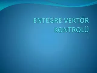 entegre vekt r kontrol