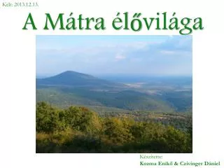 a m tra l vil ga