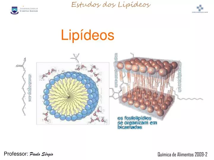 PPT - Metabolismo dos lipídeos PowerPoint Presentation, free