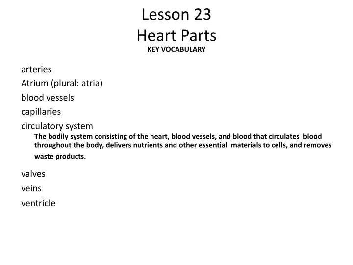 lesson 23 heart parts