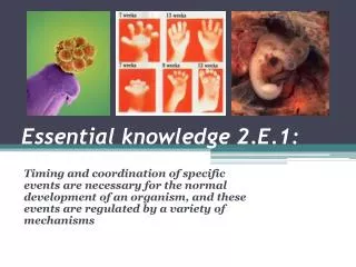 Essential knowledge 2.E.1: