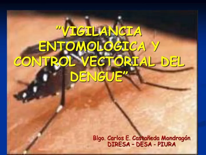 vigilancia entomologica y control vectorial del dengue