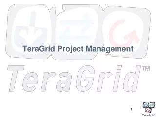 TeraGrid Project Management