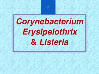 Corynebacterium Erysipelothrix &amp; Listeria