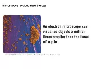 Microscopes revolutionized Biology