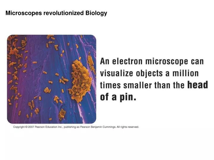microscopes revolutionized biology
