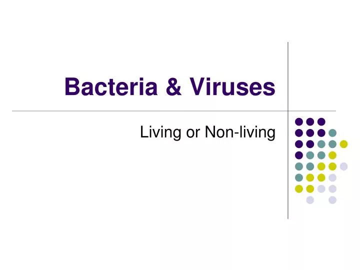 bacteria viruses