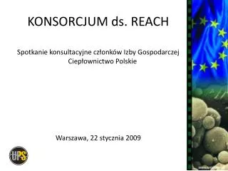 konsorcjum ds reach