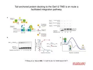 F Wang et al. Nature 000 , 1-4 (2014) doi:10.1038/nature13471