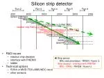 Silicon strip detector - slide 1