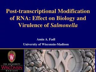 Post-transcriptional Modification of RNA: Effect on Biology and Virulence of Salmonella