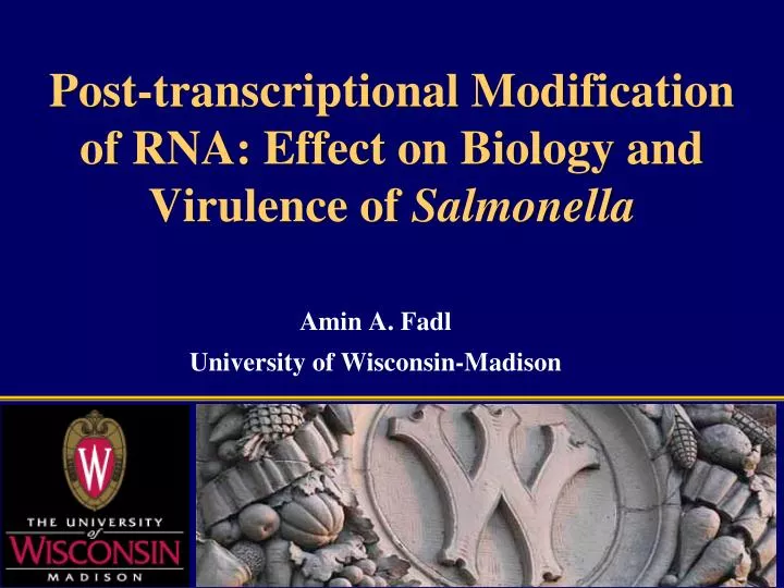 post transcriptional modification of rna effect on biology and virulence of salmonella