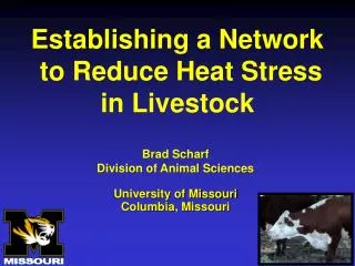 Establishing a Network to Reduce Heat Stress in Livestock