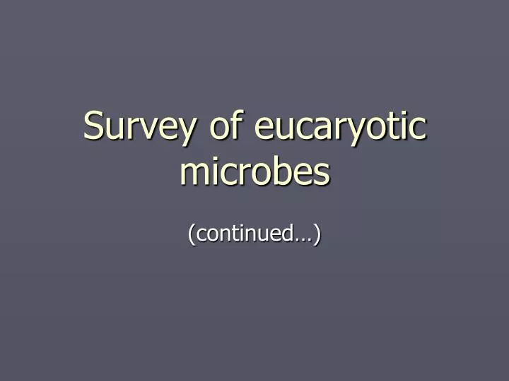 survey of eucaryotic microbes