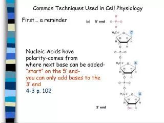 Common Techniques Used in Cell Physiology