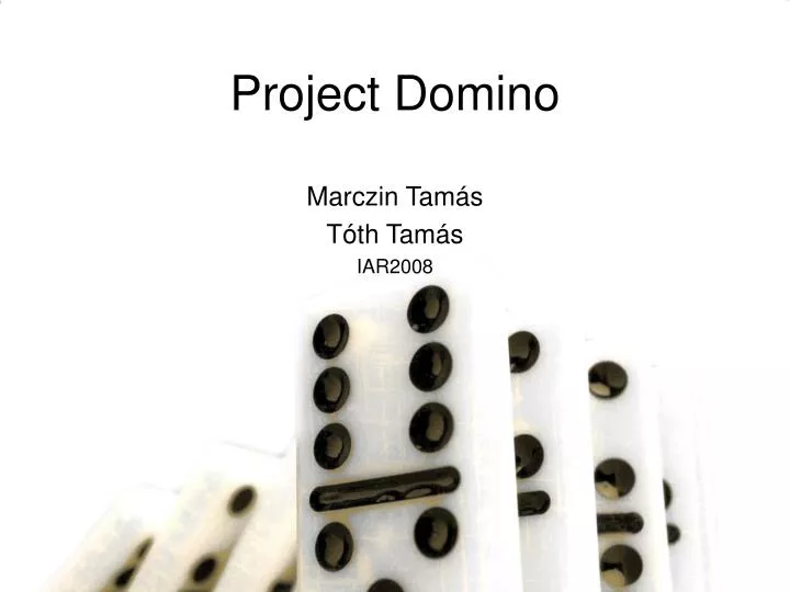 project domino