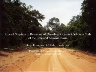 Role of Sorption in Retention of Dissolved Organic Carbon in Soils of the Lowland Amazon Basin