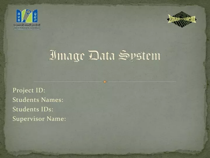 image data system