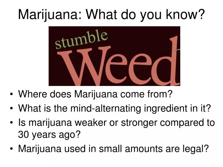 marijuana what do you know