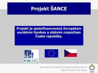 projekt ance
