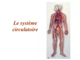 le syst me circulatoire