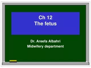 Ch 12 The fetus