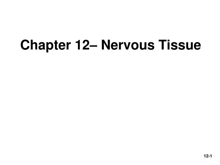 chapter 12 nervous tissue