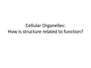 Cellular Organelles: How is structure related to function?