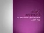 Down Syndrome - slide 1