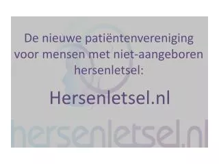 hersenletsel nl