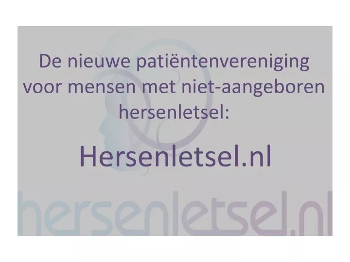 hersenletsel nl