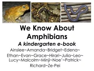 We Know About Amphibians A kindergarten e-book