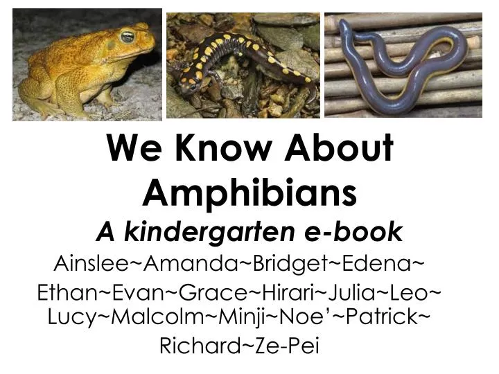 we know about amphibians a kindergarten e book