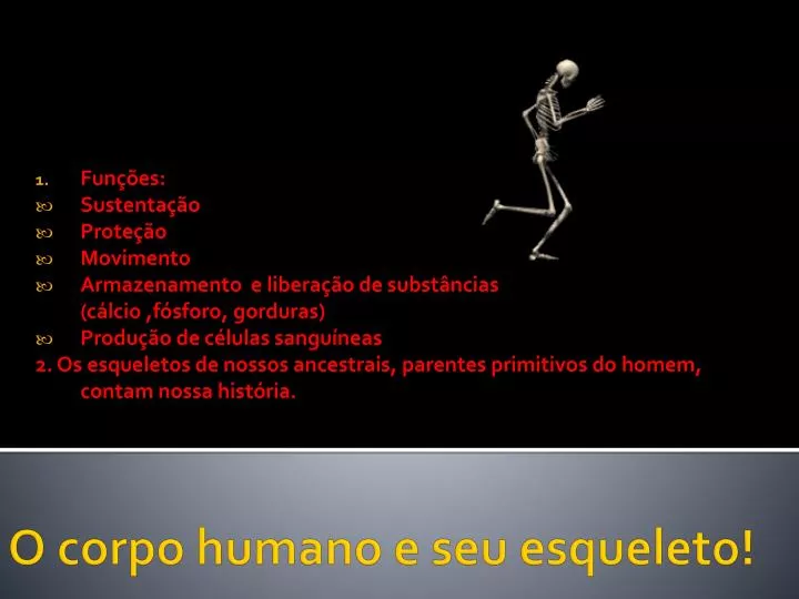 o corpo humano e seu esqueleto