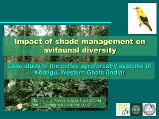 Impact of shade management on avifaunal diversity