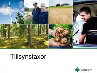 tillsynstaxor