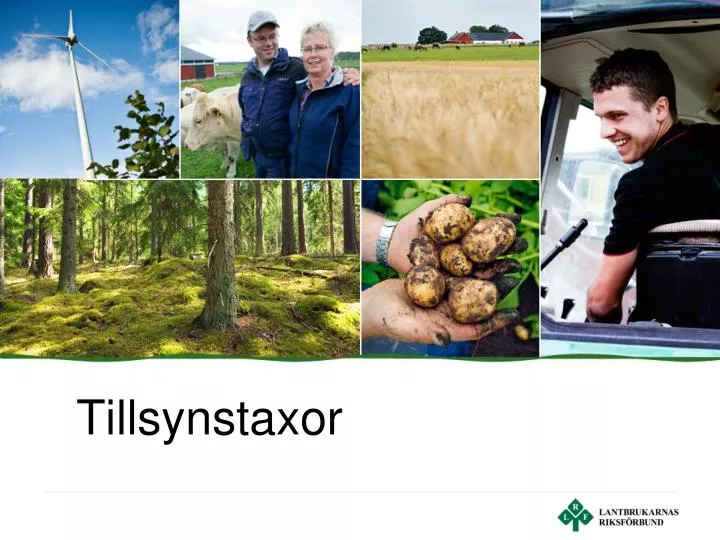 tillsynstaxor