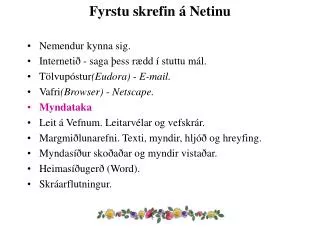 fyrstu skrefin netinu