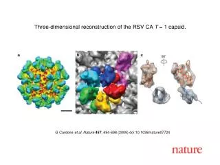 G Cardone et al. Nature 457 , 694-698 (2009) doi:10.1038/nature07724