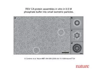 G Cardone et al. Nature 457 , 694-698 (2009) doi:10.1038/nature07724