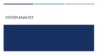 system analyst