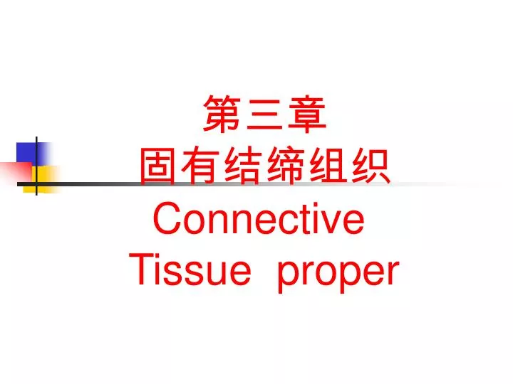 connective tissue proper