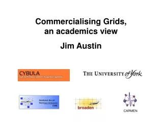 Commercialising Grids, an academics view Jim Austin
