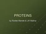 PROTEINS - slide 1