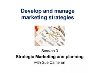 Develop and manage marketing strategies