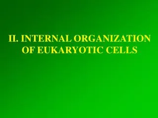 II. INTERNAL ORGANIZATION OF EUKARYOTIC CELLS