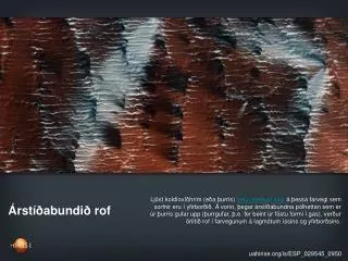 rst abundi rof