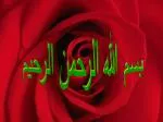 بسم الله الرحمن الرحيم - slide 1